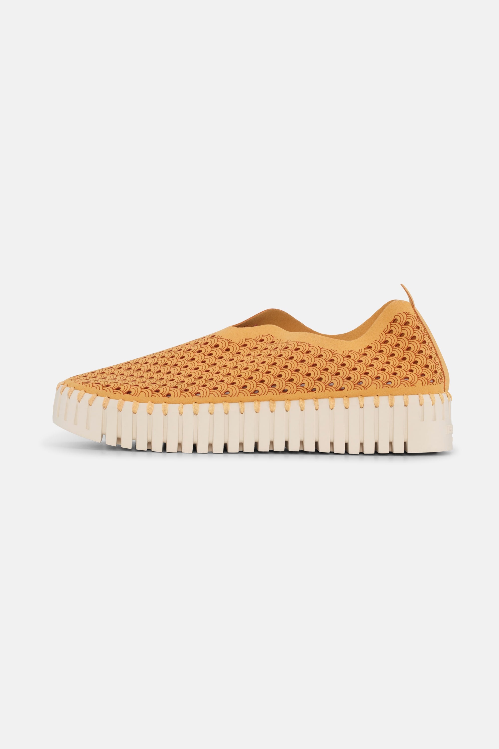 Tulip Chaussures Plateforme - Golden Nugget